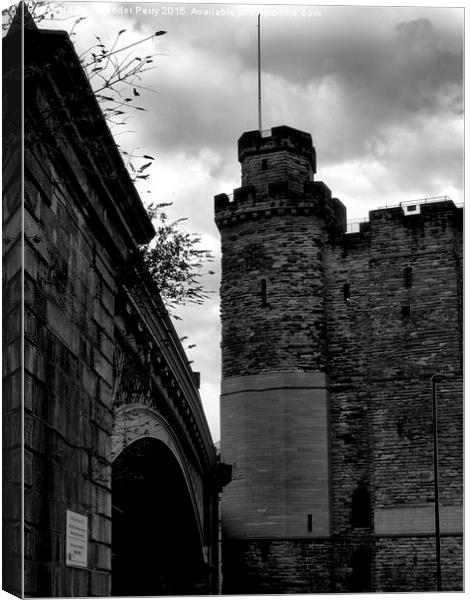  Newcastle Castle Keep Canvas Print by Alexander Perry