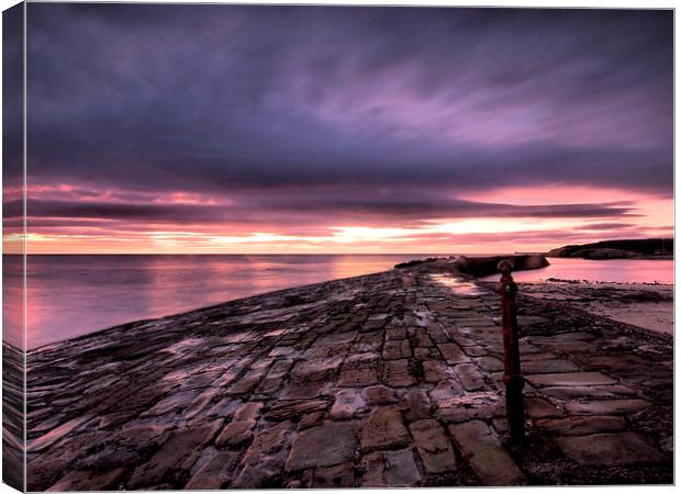  Cullercoats Pier Canvas Print by Alexander Perry