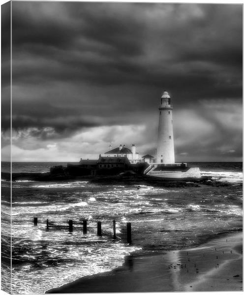  St Marys Lighthouse Canvas Print by Alexander Perry