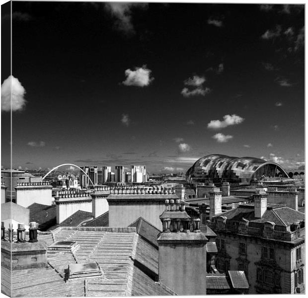  Newcastle Rooftops Canvas Print by Alexander Perry