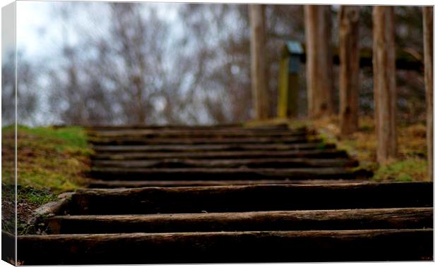  Woodland Steps Canvas Print by Squawk Photography