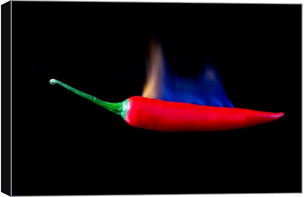 Red Hot Chilli Canvas Print by Des O'Connor