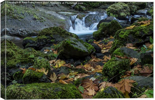  Fall on Tanner Creek, Oregon Canvas Print by Hans Franchesco