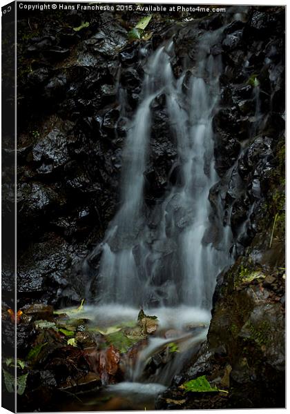  The smallest waterfall Canvas Print by Hans Franchesco