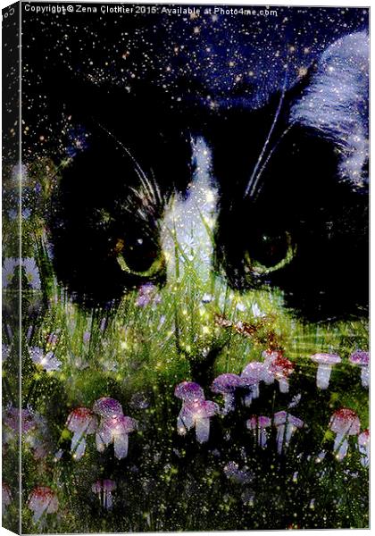  Starry Eyes Canvas Print by Zena Clothier