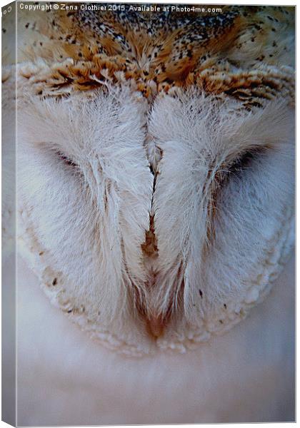  Feathered Eyes Canvas Print by Zena Clothier