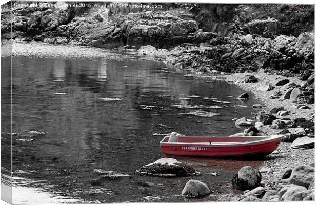 Little Red Boat Canvas Print by Zena Clothier