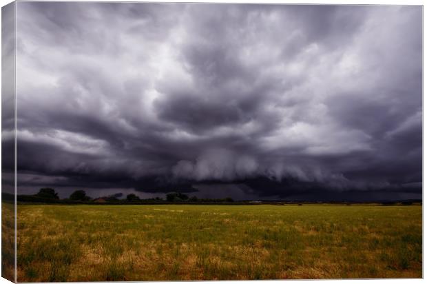 Facing the Storm Canvas Print by Colin Askew
