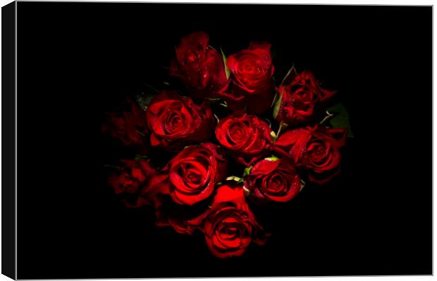 Roses are red Canvas Print by Sonia Packer