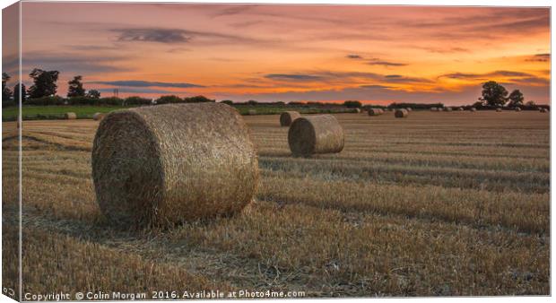Harvest Sunset Canvas Print by Colin Morgan
