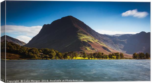Buttermere Pines and Fleetwith Pike, Buttermere Canvas Print by Colin Morgan