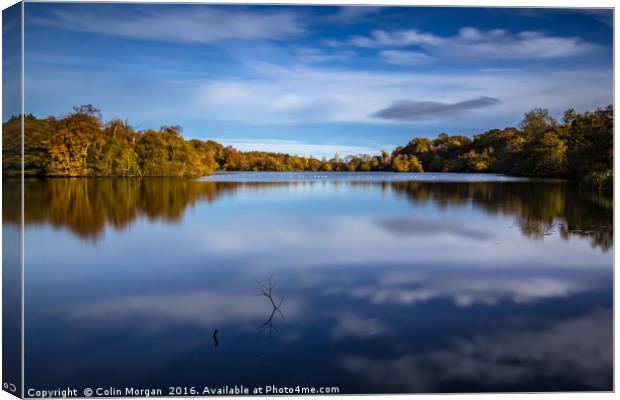 Bolam Lake Tranquil Autumn Blue Canvas Print by Colin Morgan
