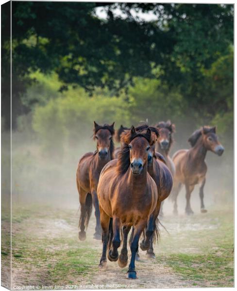 Hoses Galloping  Canvas Print by kevin long