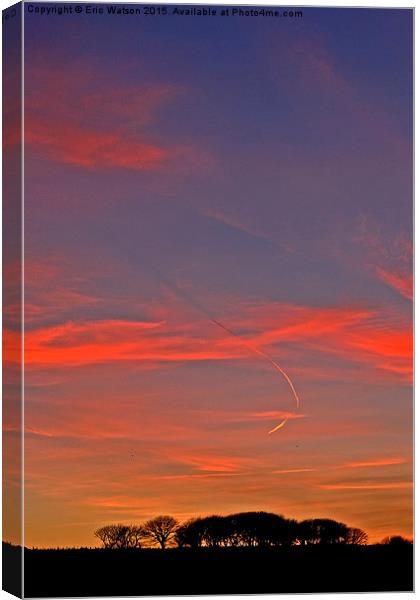  Trees at Sunset Canvas Print by Eric Watson