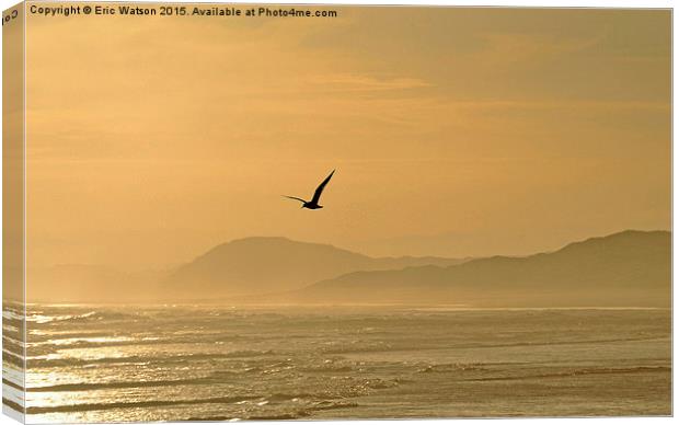  Flight in Evening Light Canvas Print by Eric Watson