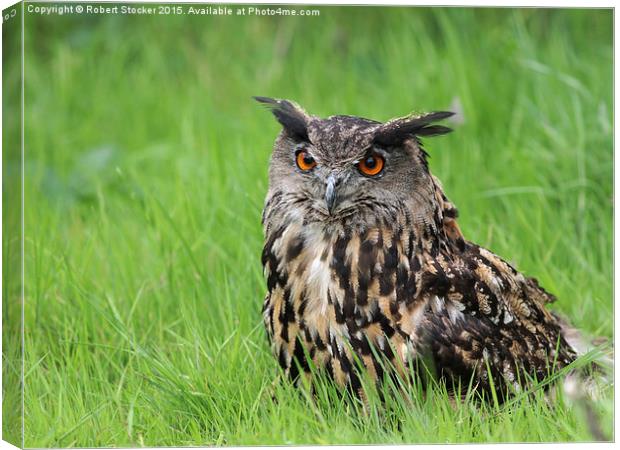  Eurasian Eagle Owl Canvas Print by Robert Stocker