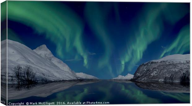 Northern Light Deluxe Canvas Print by Mark McElligott