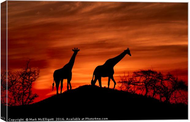 Giraffe Silhouette  Canvas Print by Mark McElligott