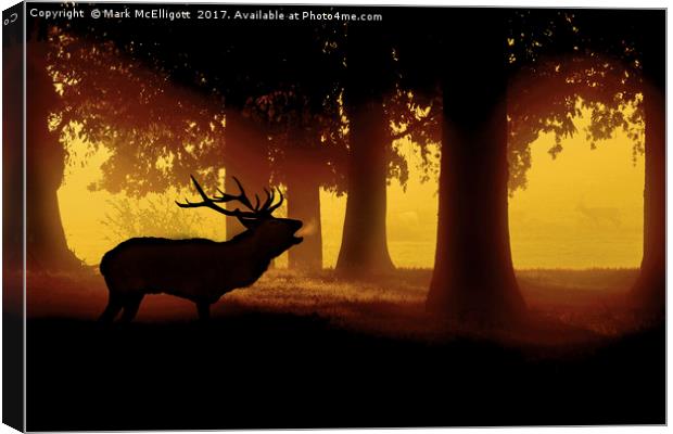 Red Deer Cervus Elaphus The Call Of the Wild Canvas Print by Mark McElligott