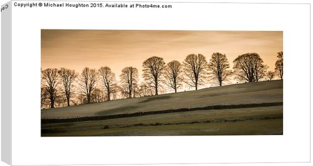  Treeline at dusk Canvas Print by Michael Houghton