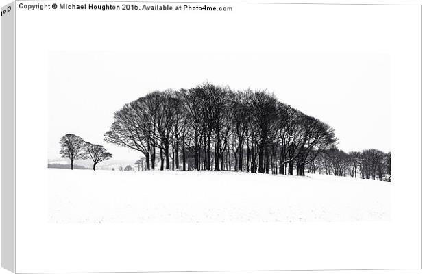  Winter Copse Canvas Print by Michael Houghton