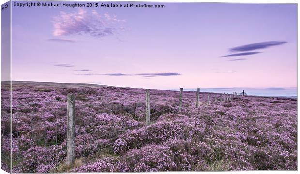  Blooming heather Canvas Print by Michael Houghton