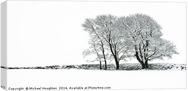 Winter clump Canvas Print by Michael Houghton