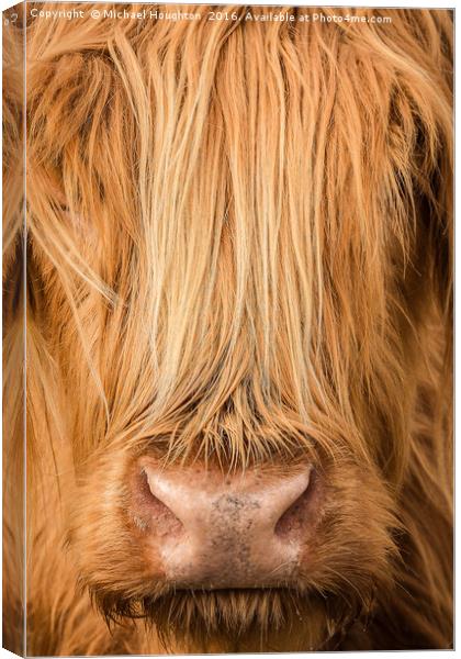 Good Hair Day Canvas Print by Michael Houghton