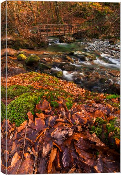 Colours Of Ambleside Canvas Print by Andy Evans