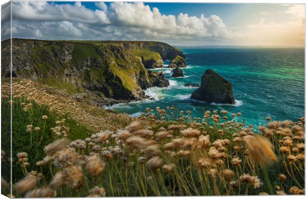 Bedruthan Canvas Print by Andy Evans
