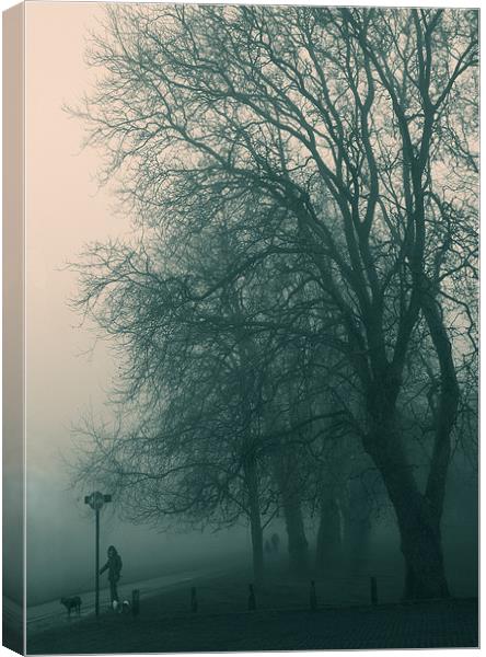 Foggy day Canvas Print by Paul Tremble