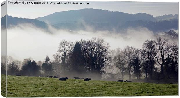  Cows In The Mist Canvas Print by Jon Gopsill