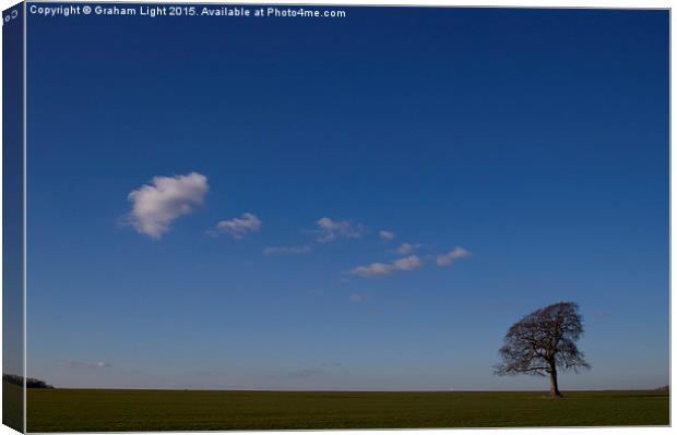  A lonely tree on an early winters morning. Canvas Print by Graham Light