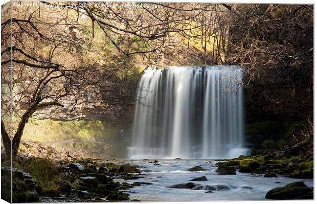 Waterfalls at Brecon Canvas Print by Graham Light