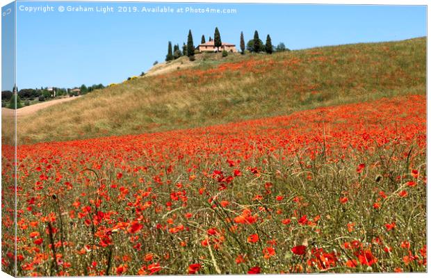 Poppy fields, Tuscany Canvas Print by Graham Light