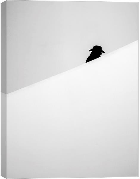  Ascending Silhouette Canvas Print by Jim Moody