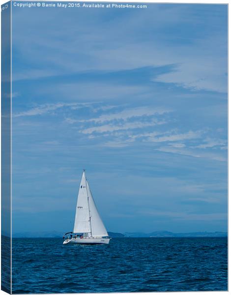 Sailing in the Hauraki Gulf  Canvas Print by Barrie May