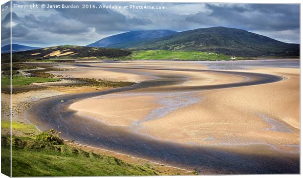 The Kyle of Durness Canvas Print by Janet Burdon