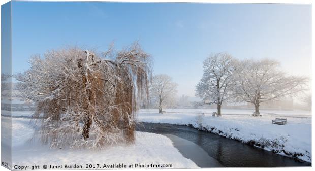 Winter Morning at Sinnington Canvas Print by Janet Burdon