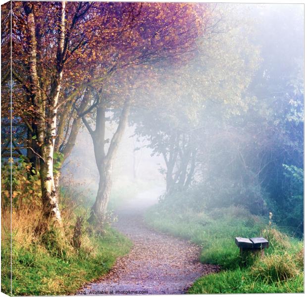 Misty Morning at Sutton Bank Canvas Print by Janet Burdon