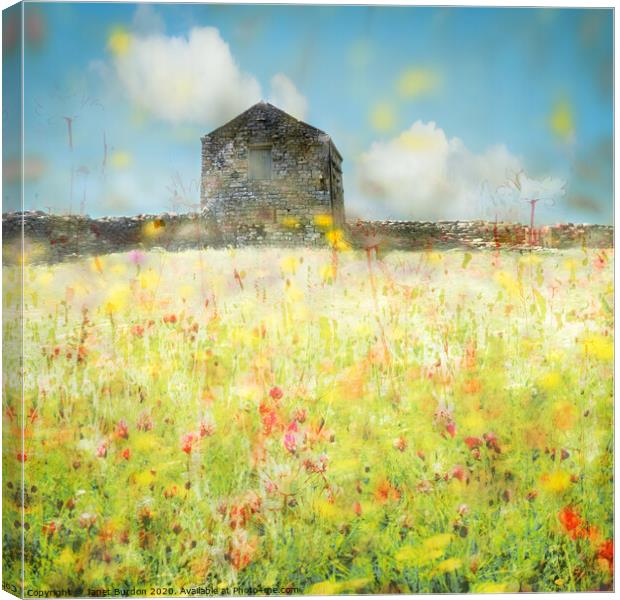 Swaledale Meadow 1 Canvas Print by Janet Burdon