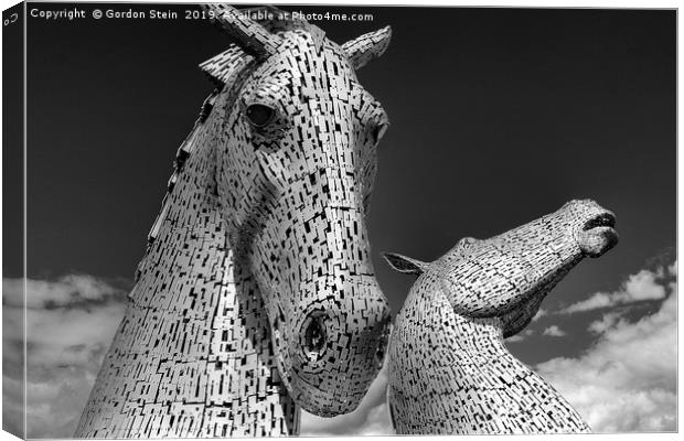 The Kelpies Number One Canvas Print by Gordon Stein
