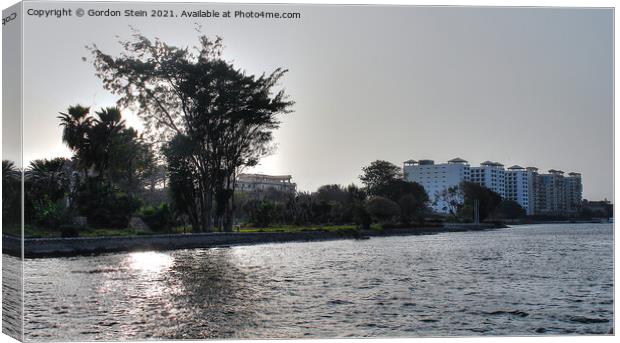 Giza Waterside Canvas Print by Gordon Stein