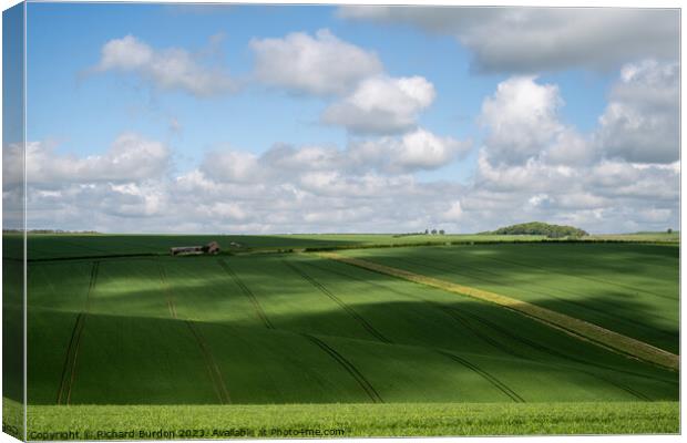 Wolds Light Canvas Print by Richard Burdon