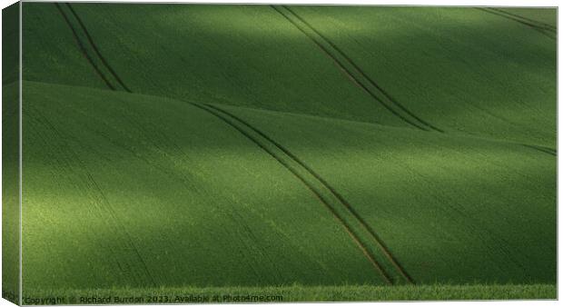 "Nature's Emerald Tapestry" Canvas Print by Richard Burdon