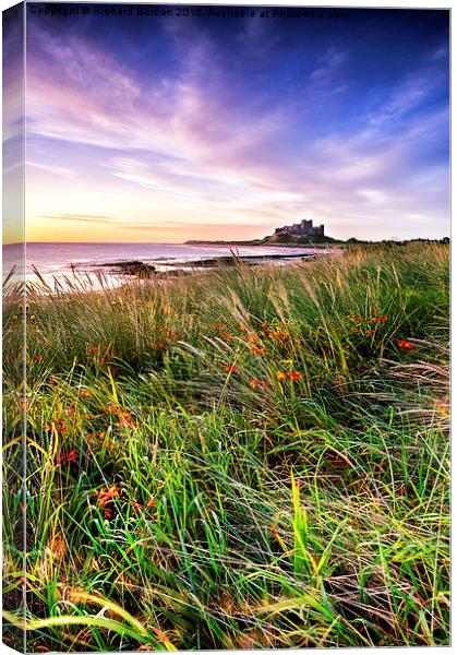  Bamburgh Castle From Harkness Dunes Canvas Print by Richard Burdon