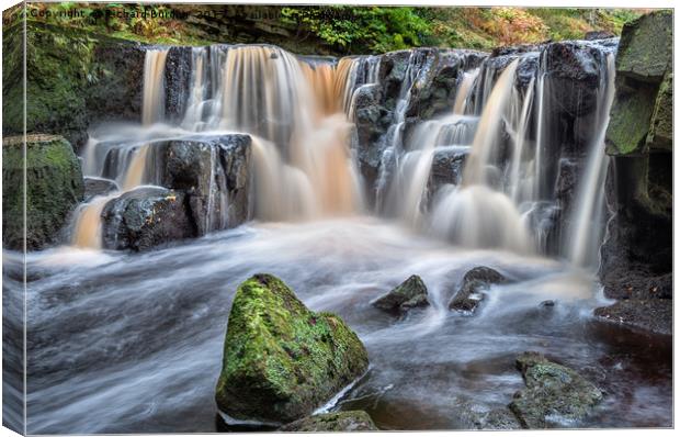 Nelly Ayre Foss Canvas Print by Richard Burdon