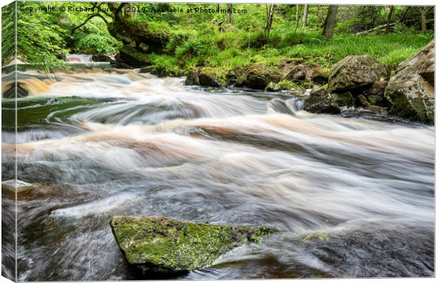 Mallyan Spout Canvas Print by Richard Burdon