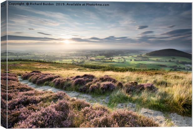 Heather at Sunset, Swainby Canvas Print by Richard Burdon