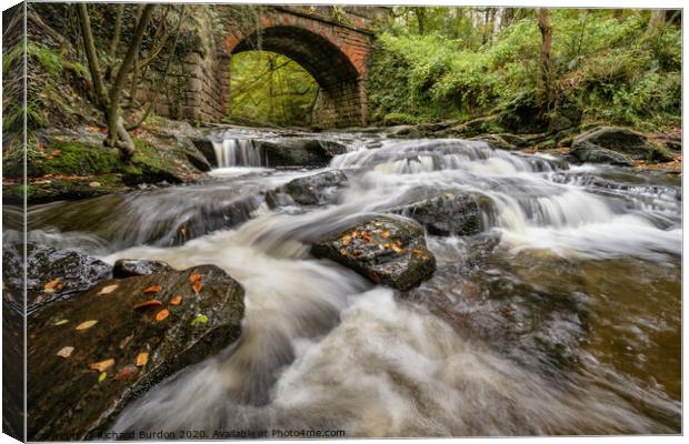 May Beck in Autumn Canvas Print by Richard Burdon